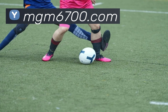 美高梅mgm发展历程